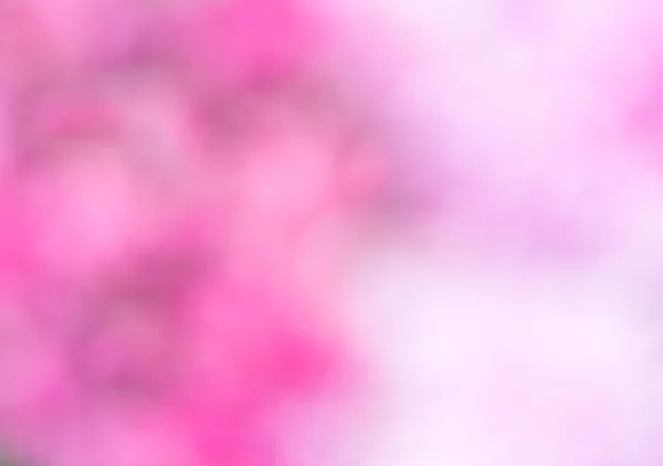 Pink and white tone with blur effect
