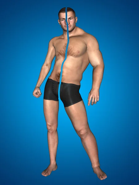 Concept or conceptual 3D strong young male man bodybuilder vs underweight thin on blue background