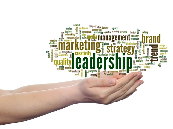 Business marketing leadership word cloud