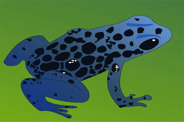 Blue frog