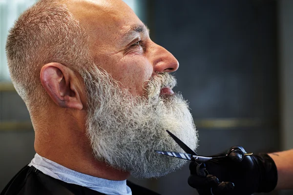 Grey-haired man with long beard