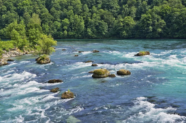 Riverscape And Rapids