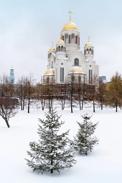 Cathedral on the Blood in winter, Yekaterinburg