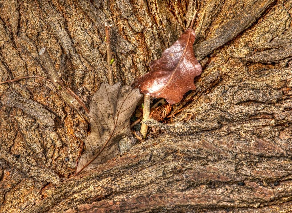 depositphotos_561110