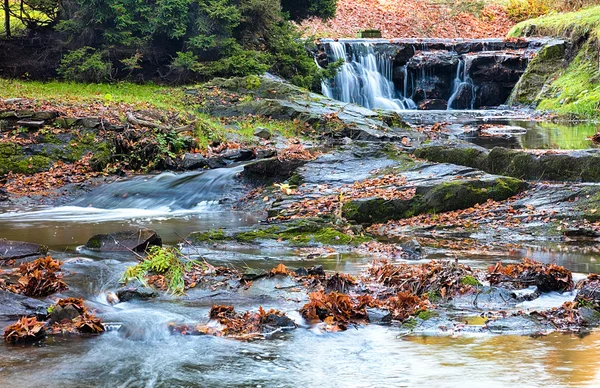 River runs over boulders in the primeval forest