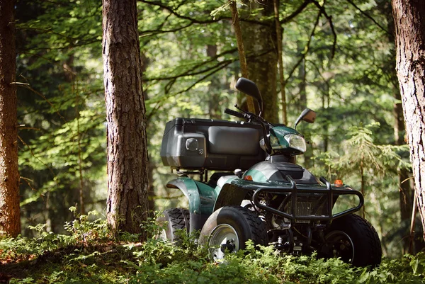 ATV\'s parked in the parking lot in the forest. good weather.