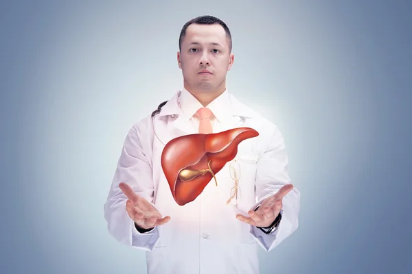 Doctor with liver in hands . gray background. High resolution.