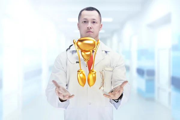 Doctor with stethoscope and golden male reproductive system on the hands. High resolution.