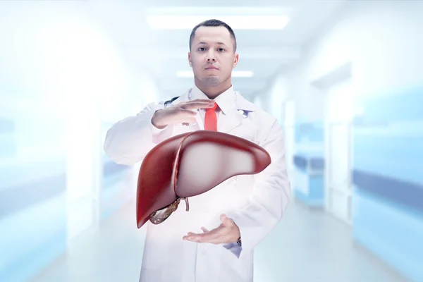 Doctor with stethoscope and liver on the hands in a hospital. High resolution.