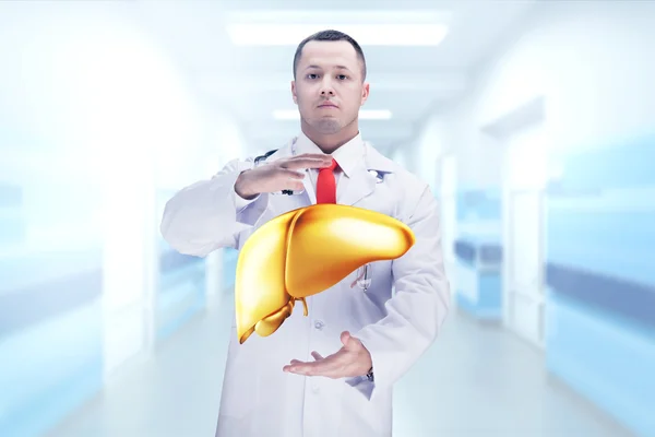 Doctor with stethoscope and golden liver on the hands in a hospital. High resolution.