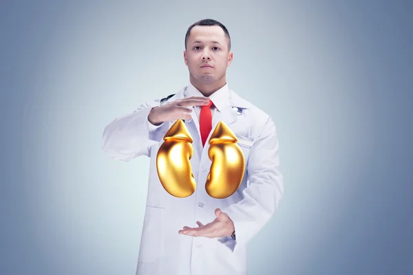 Doctor with stethoscope and golden kidneys on the hands. gray background. High resolution.