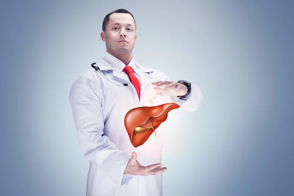 Doctor with liver in hands . High resolution.