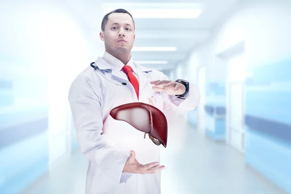 Doctor with stethoscope and liver on the hands in a hospital. High resolution.