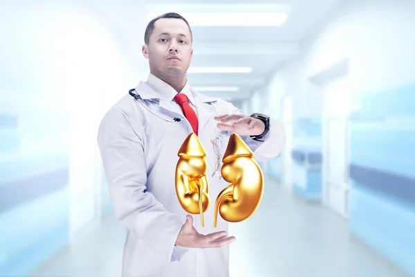 Doctor with stethoscope and golden kidneys on the hands in a hospital. High resolution.