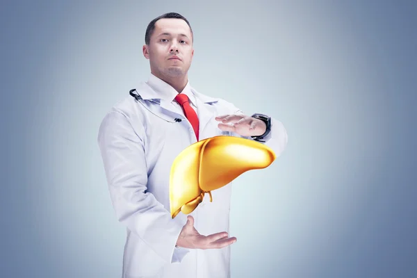 Doctor with stethoscope and golden liver on the hands . gray background. High resolution.