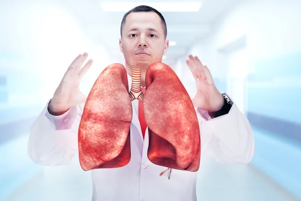Doctor with stethoscope and lungs on the hands. gray background. High resolution.