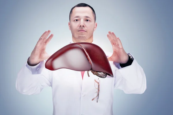 Doctor with stethoscope and liver on the hands in a hospital. High resolution.