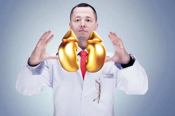 Doctor with stethoscope and golden kidneys on the hands in a hospital. High resolution.