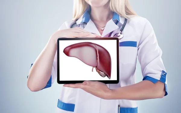 Doctor holding human organs ( liver) and tablet , gray background.