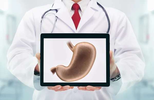 Doctor with stethoscope in a hospital. Stomach on the tablet