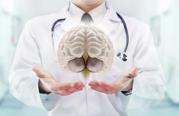 Doctor with stethoscope and brains on the  hands in a hospital