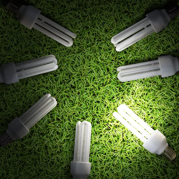 Energy-saving lamp in green grass