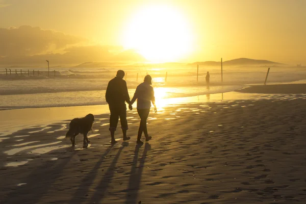 Beach sunset couple walking dog silhouette. Western Cape, South Africa.