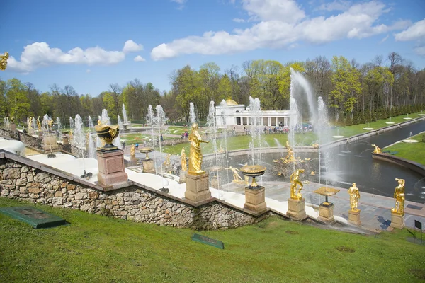 SAINT PETERSBURG, PETERGOF, RUSSIA - May 9, 2015: Fountains of Lower Gardens, Sea Canal in Peterhof, near Saint Petersburg. Fountains of Peterhof are one of Russia\'s most famous tourist attractions