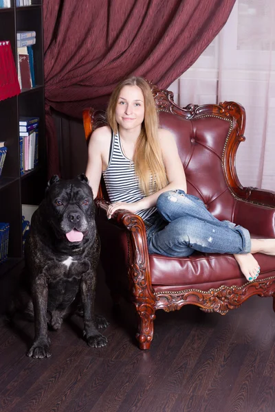 Girl sits in a chair home library next to dog Cane Corso