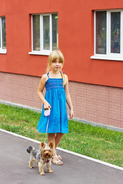 photo of girls йоркширский №37347 photo of girls йоркширский № 37346