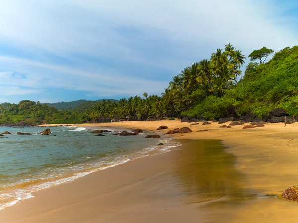 Beach with palm trees