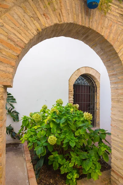 Typical Andalusian courtyard decorated with flowers arches and c