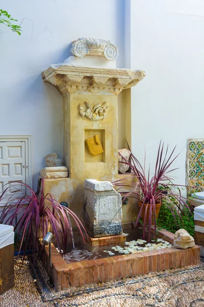 Small fountain with a typical Andalusian patio plants