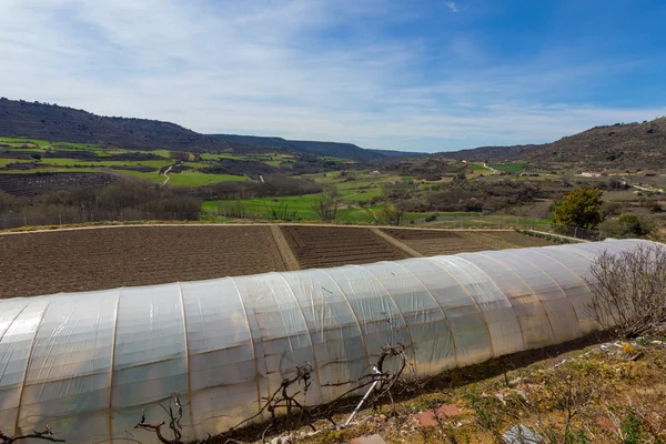 Greenhouse in the fields of the region of Cuenca, Spain