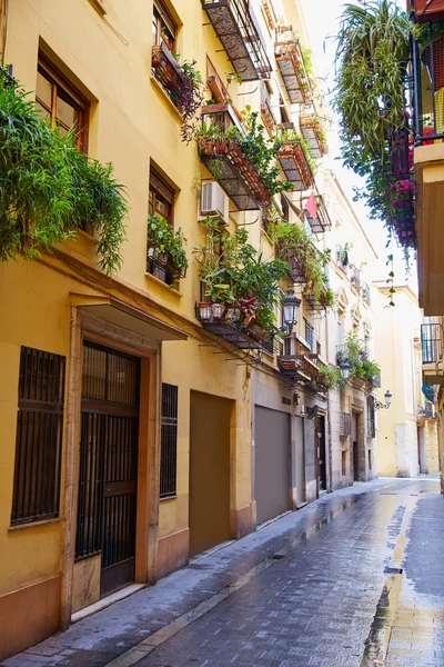 Valencia barrio del Carmen street facades Spain