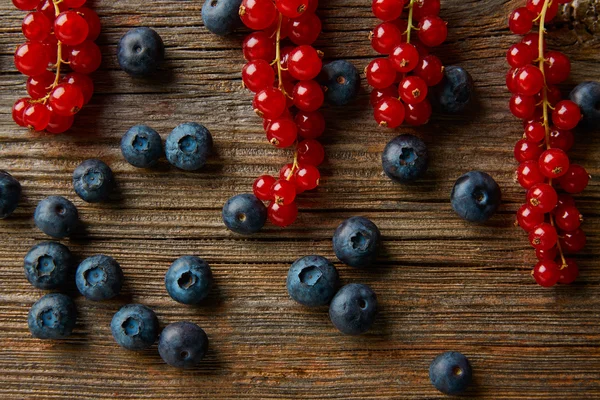 Berries mix blueberries and red currants