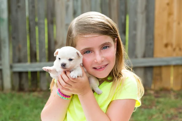 Blond kid girl with puppy pet chihuahua playing