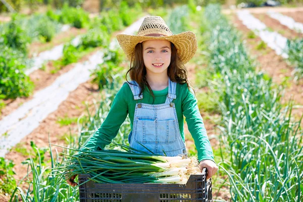 Litte kid farmer girl in onion harvest orchard