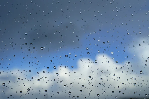 Rain Drops on a window pane