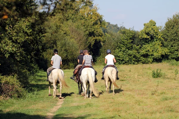 Horseback riding