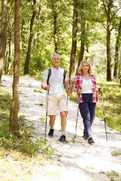 Senior couple enjoying a nordic walk