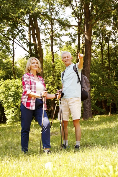 Senior couple enjoying a nordic walk