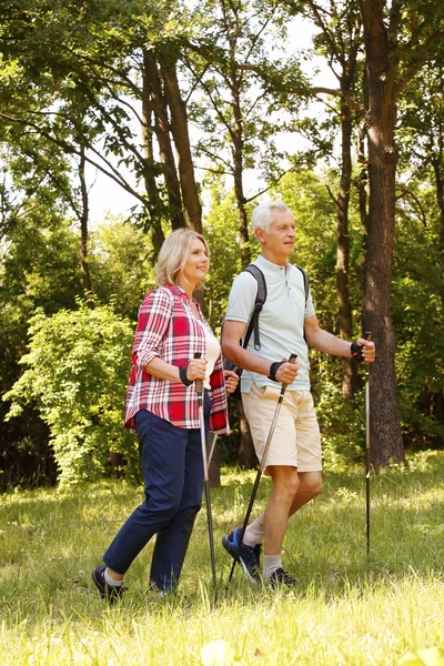 Senior couple enjoying a nordic walk