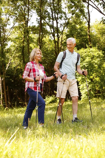 Active senior couple enjoying a nordic walk