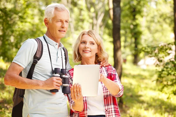 Senior couple strolling through the forest