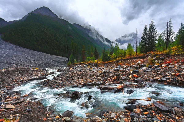 Landscape, mountain and river (Altai, Russia).