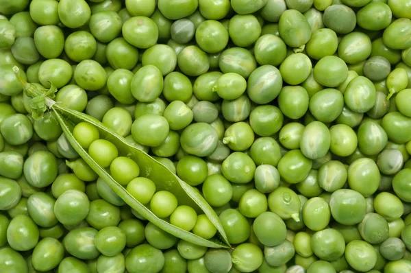 Green pea pod on the background of green peas