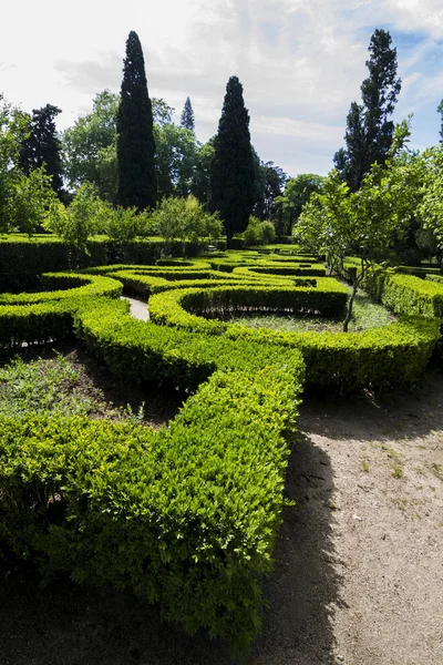 View of the the beautiful garden