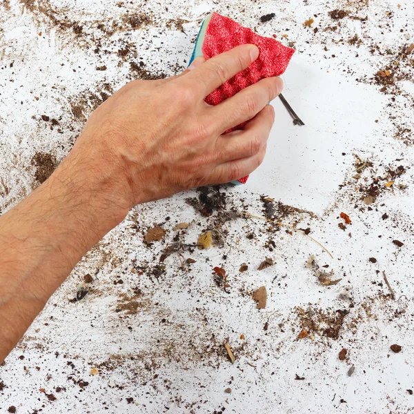 Hand with red sponge cleans dirty surface