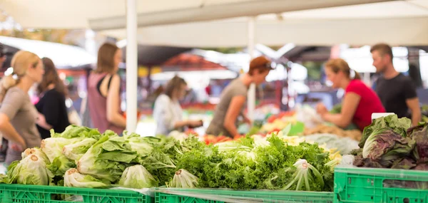 Farmers food market stall with variety of organic vegetable.